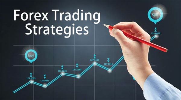 Forex Trading for Beginners | Trading Systems