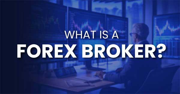 Ranking the World’s Best Forex Brokers of 2024